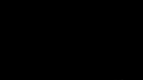 19024