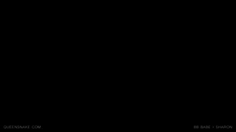 49810