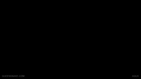 55721