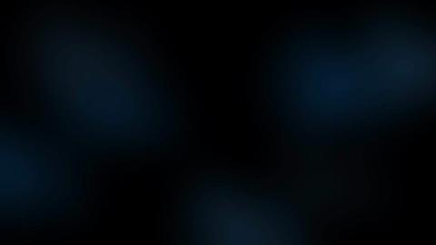 9080
